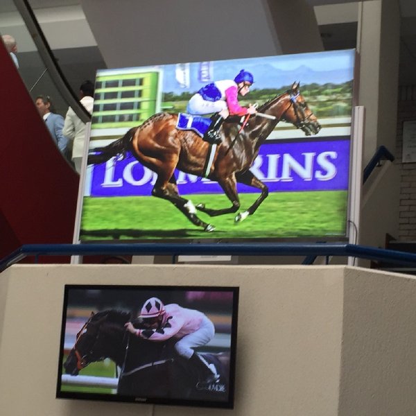 Lightbox - Display Stand (<1500mm)