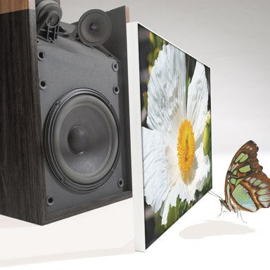 Tenstyle Acoustic Panels