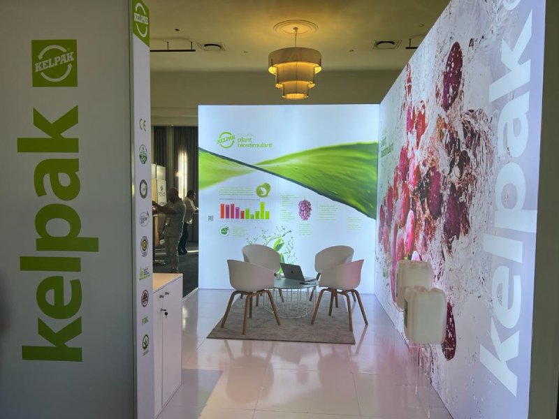 Lightboxes for Exhibitions